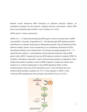 RNR ir oligonukleotidų taikymas genų terapijoje. Paveikslėlis 7
