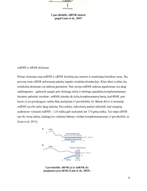 RNR ir oligonukleotidų taikymas genų terapijoje. Paveikslėlis 8