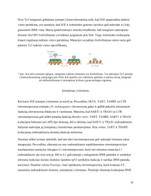 Transpozicijos saitspecifiškumo problema. Paveikslėlis 10