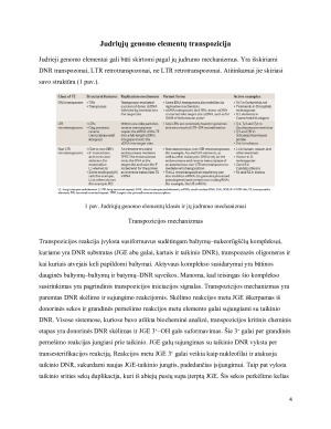 Transpozicijos saitspecifiškumo problema. Paveikslėlis 4