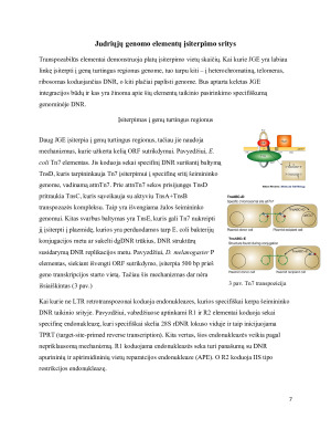 Transpozicijos saitspecifiškumo problema. Paveikslėlis 7