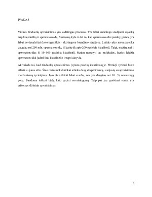 Vidinis žinduolių apvaisinimas. Paveikslėlis 3