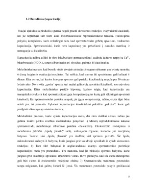 Vidinis žinduolių apvaisinimas. Paveikslėlis 5