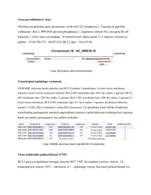 BCL2 genas ir jo reikšmė apoptozės bei vėžio vystymosi procesuose. Paveikslėlis 2