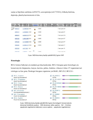 BCL2 genas ir jo reikšmė apoptozės bei vėžio vystymosi procesuose. Paveikslėlis 3