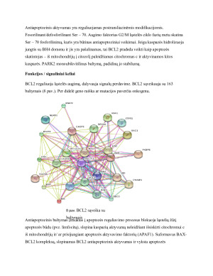 BCL2 genas ir jo reikšmė apoptozės bei vėžio vystymosi procesuose. Paveikslėlis 5