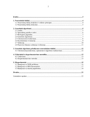 Neuroniniai tinklai ir genetiniai algoritmai. Paveikslėlis 2