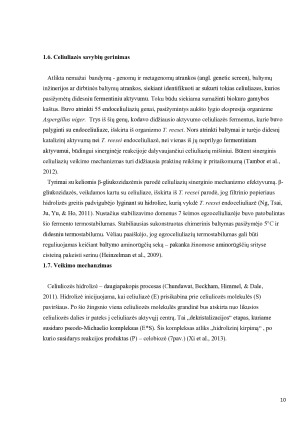 Celiuliazė. Paveikslėlis 10
