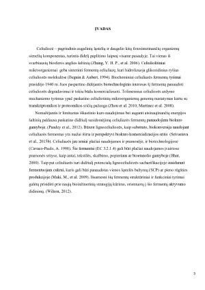Celiuliazė. Paveikslėlis 3