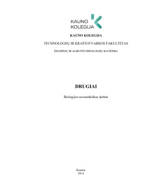 DRUGIAI. Paveikslėlis 1