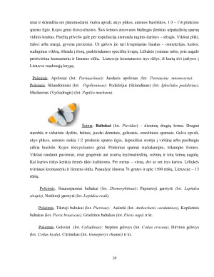 DRUGIAI. Paveikslėlis 10