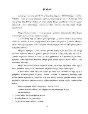 DRUGIAI. Paveikslėlis 4