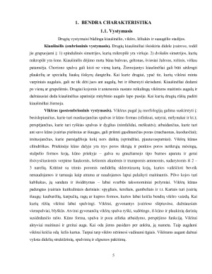 DRUGIAI. Paveikslėlis 5