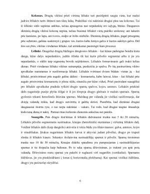 DRUGIAI. Paveikslėlis 6