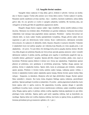 DRUGIAI. Paveikslėlis 7