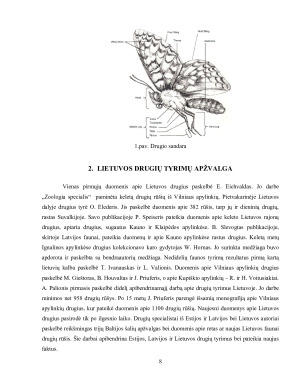 DRUGIAI. Paveikslėlis 8