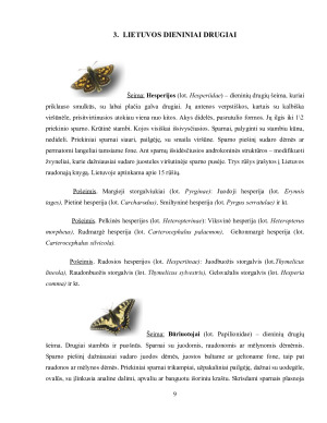 DRUGIAI. Paveikslėlis 9