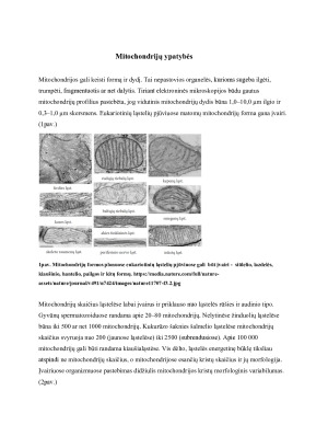 Manipuliacijų mitochondrijų kristomis panaudojimas metabolinių disfunkcijų gydyme. Paveikslėlis 4