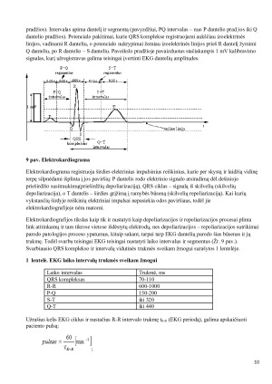 CHEMINIS LĄSTELIŲ SUJAUDINIMAS (DIRGINIMAS). Paveikslėlis 10