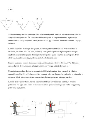 CHEMINIS LĄSTELIŲ SUJAUDINIMAS (DIRGINIMAS). Paveikslėlis 7