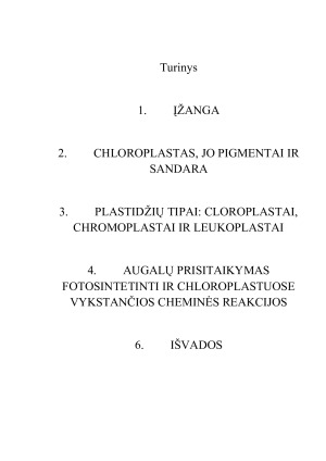 CHLOROPLASTAI. Paveikslėlis 2