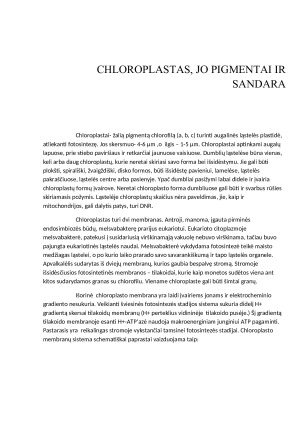 CHLOROPLASTAI. Paveikslėlis 4