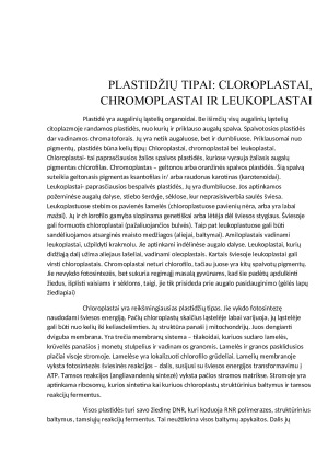 CHLOROPLASTAI. Paveikslėlis 6