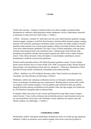 Mažiausias gamtoje žinomas mechaninis-elektrinis rotacinis variklis – F1-ATPazė. Paveikslėlis 3