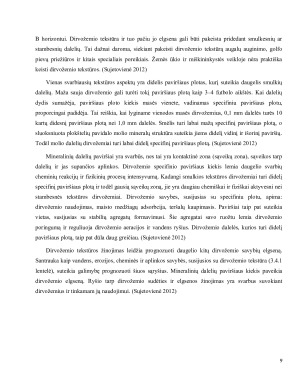 DIRVOŽEMIO FIZIKINĖS SAVYBĖS. Paveikslėlis 9