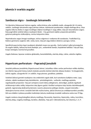 Talino botanikos sodas. Paveikslėlis 9