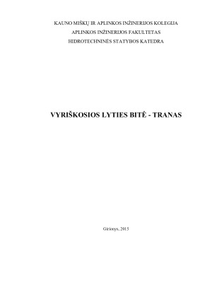 VYRIŠKOSIOS LYTIES BITĖ - TRANAS. Paveikslėlis 1