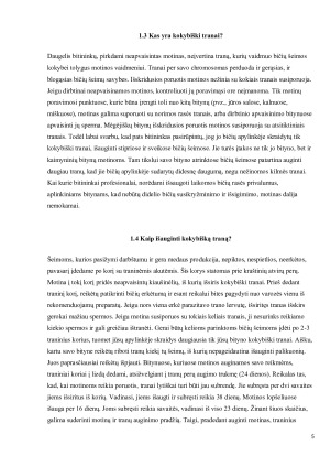 VYRIŠKOSIOS LYTIES BITĖ - TRANAS. Paveikslėlis 5