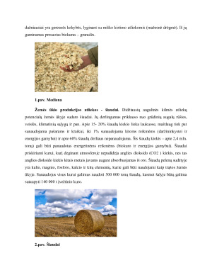 AUGALINĖ BIOMASĖ. Paveikslėlis 5
