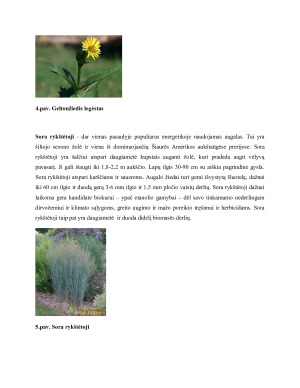 AUGALINĖ BIOMASĖ. Paveikslėlis 7