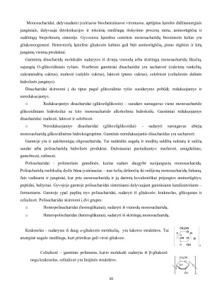 Ląstelės cheminė sudėtis. Paveikslėlis 10