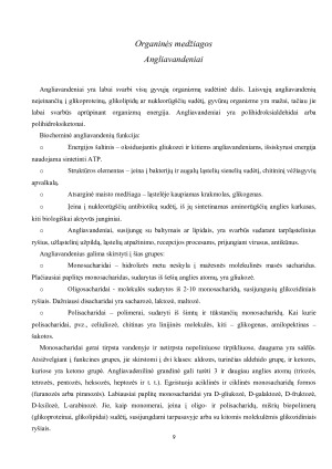 Ląstelės cheminė sudėtis. Paveikslėlis 9