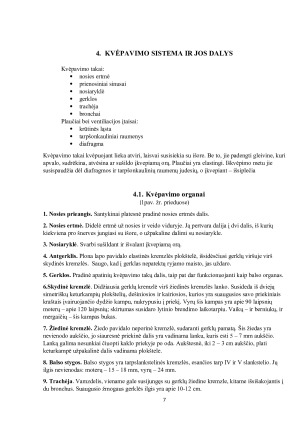 KVĖPAVIMO BIOFIZIKA. Paveikslėlis 7