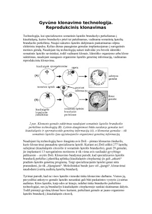 GYVŪNŲ KLONAVIMAS. GENŲ PERKĖLIMAS Į AUGALŲ, GYVŪNŲ LĄSTELES. Paveikslėlis 5