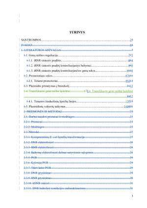 Transfekuotų genų raiškos reguliacija žinduolinėse ląstelėse. Paveikslėlis 3