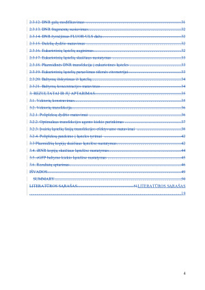 Transfekuotų genų raiškos reguliacija žinduolinėse ląstelėse. Paveikslėlis 4
