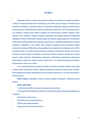 Transfekuotų genų raiškos reguliacija žinduolinėse ląstelėse. Paveikslėlis 6