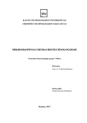 MIKROSKOPINIAI GRYBAI BIOTECHNOLOGIJOJE. Paveikslėlis 1