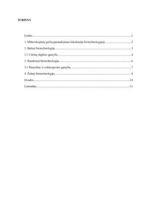 MIKROSKOPINIAI GRYBAI BIOTECHNOLOGIJOJE. Paveikslėlis 2