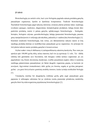 MIKROSKOPINIAI GRYBAI BIOTECHNOLOGIJOJE. Paveikslėlis 3