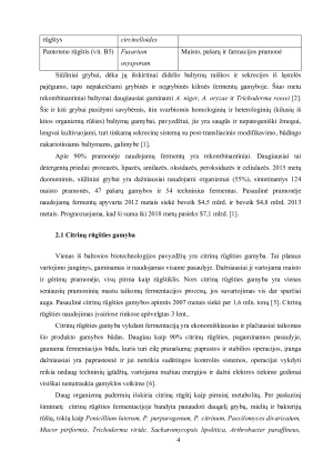 MIKROSKOPINIAI GRYBAI BIOTECHNOLOGIJOJE. Paveikslėlis 6