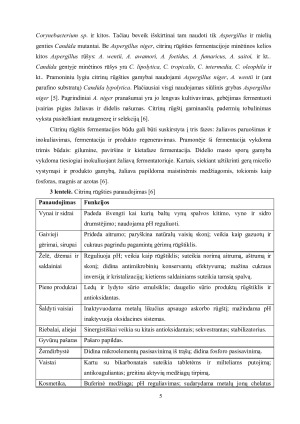 MIKROSKOPINIAI GRYBAI BIOTECHNOLOGIJOJE. Paveikslėlis 7
