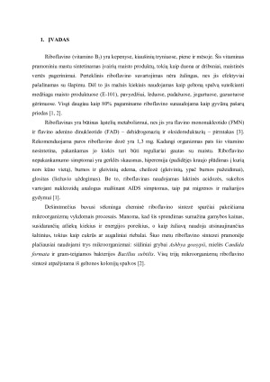 RIBOFLAVINO GAMYBOS TECHNOLOGIJA. Paveikslėlis 3