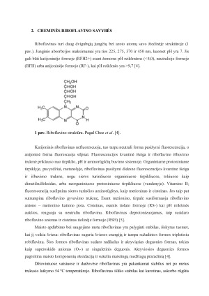 RIBOFLAVINO GAMYBOS TECHNOLOGIJA. Paveikslėlis 4