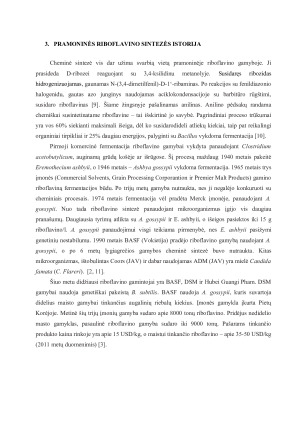 RIBOFLAVINO GAMYBOS TECHNOLOGIJA. Paveikslėlis 6