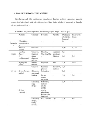RIBOFLAVINO GAMYBOS TECHNOLOGIJA. Paveikslėlis 7